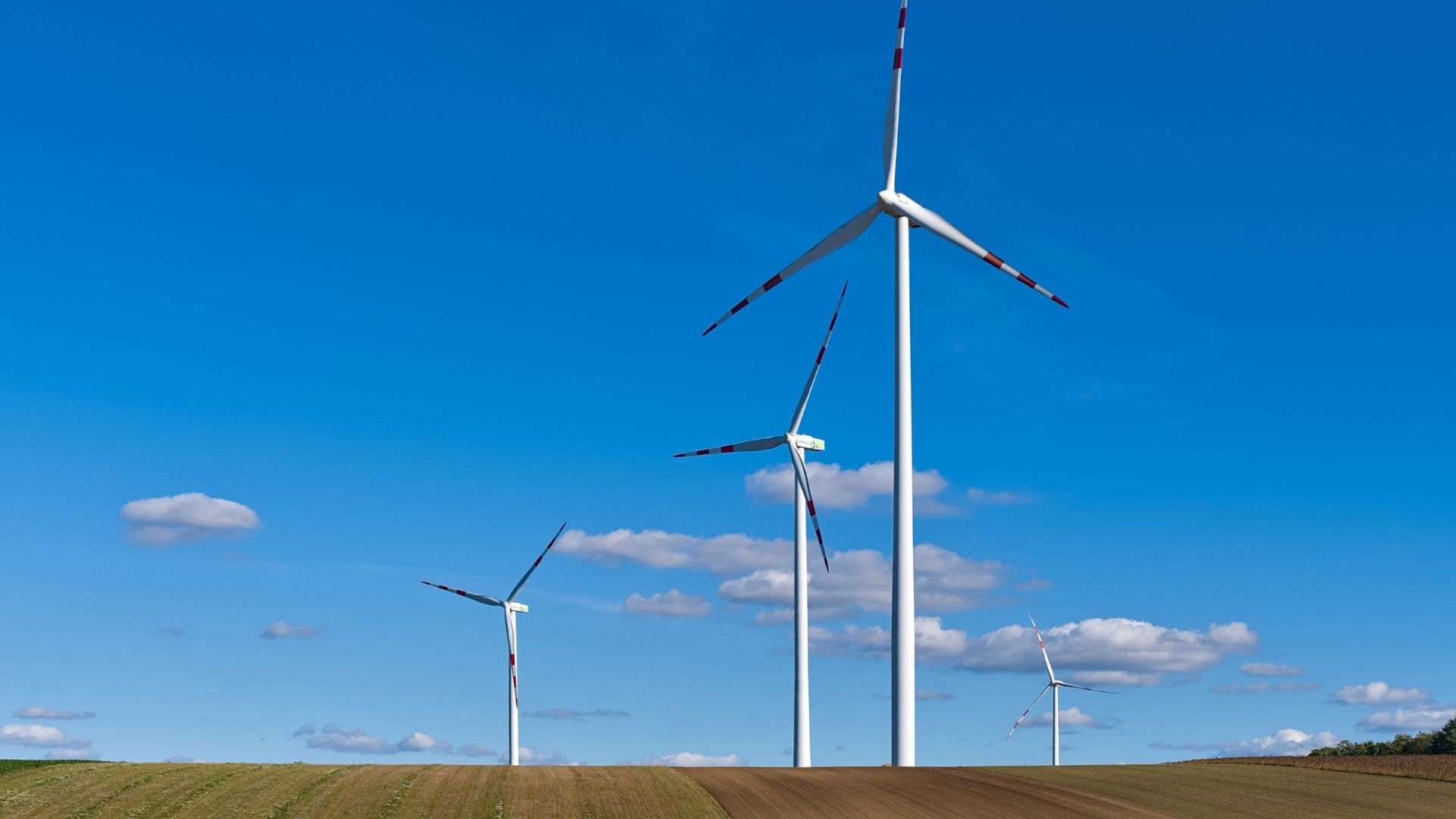 A row of wind turbines stand in a ploughed field, set against a bright blue sky