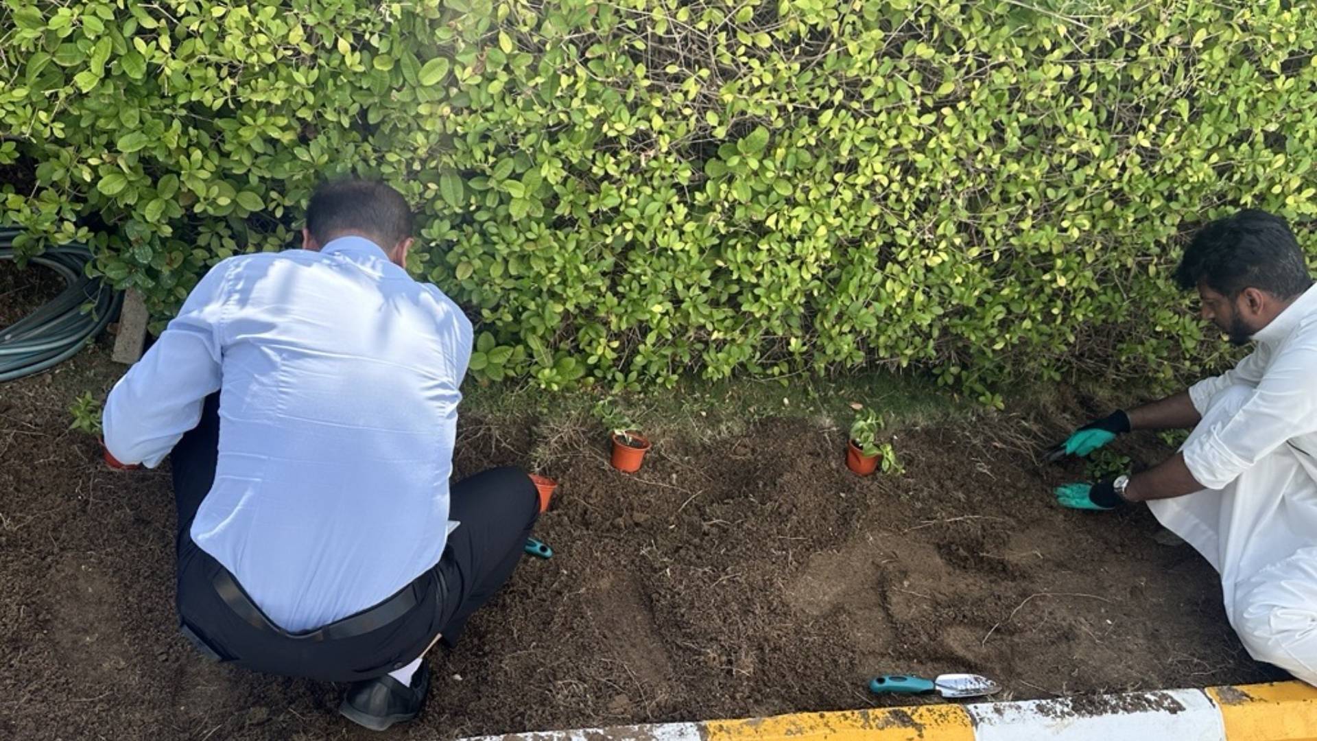 Employees celebrating world earth day in Unilever Arabia