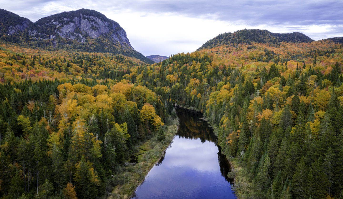 Aerial view of a river snaking through a dense forest on both banks with mountains in the distance