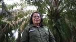 A woman standing in front on, looking at the camera wearing a green jacket. She is standing amongst palm oil trees.